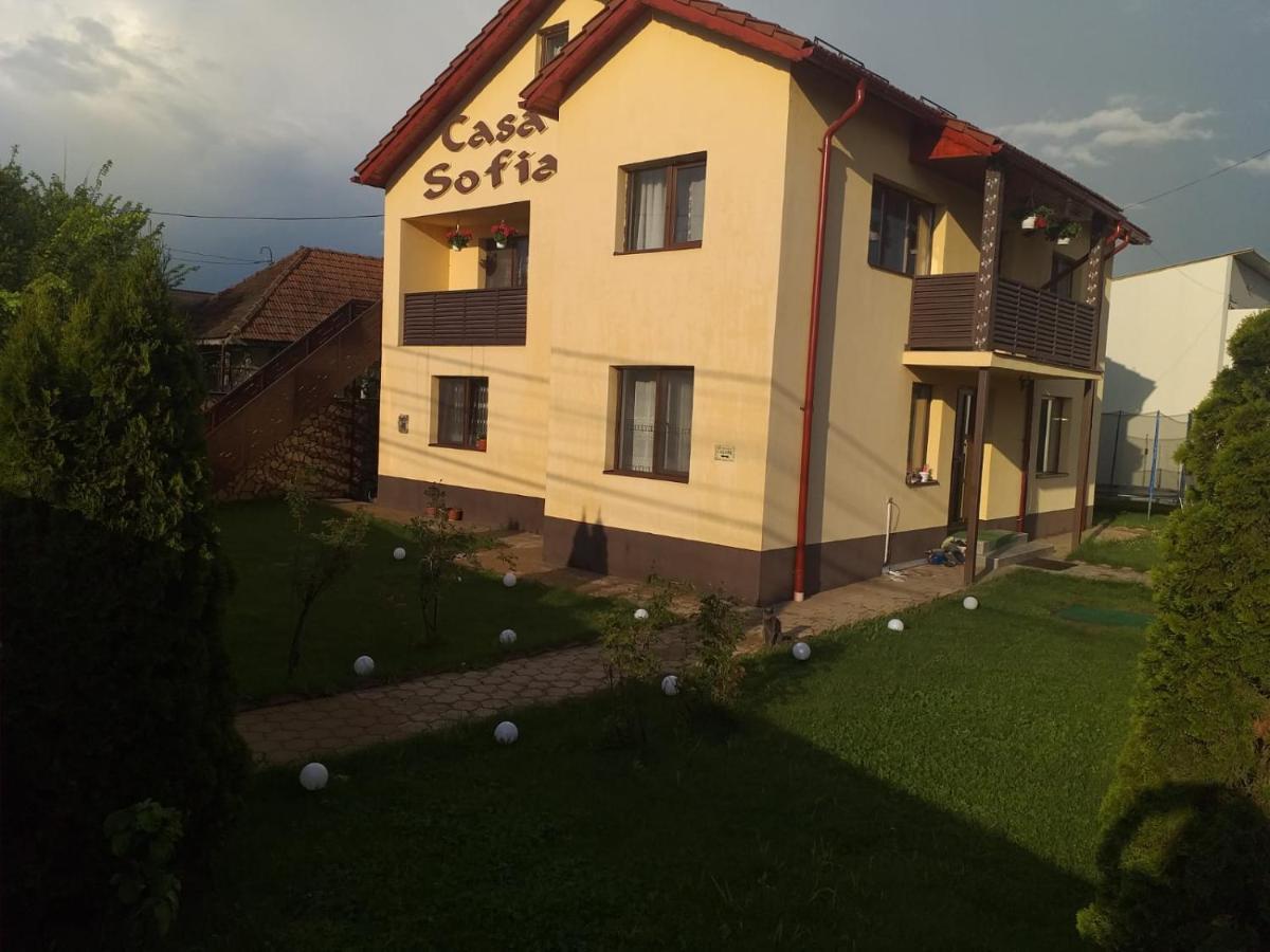 Casa Sofia Târgu Jiu Exterior foto